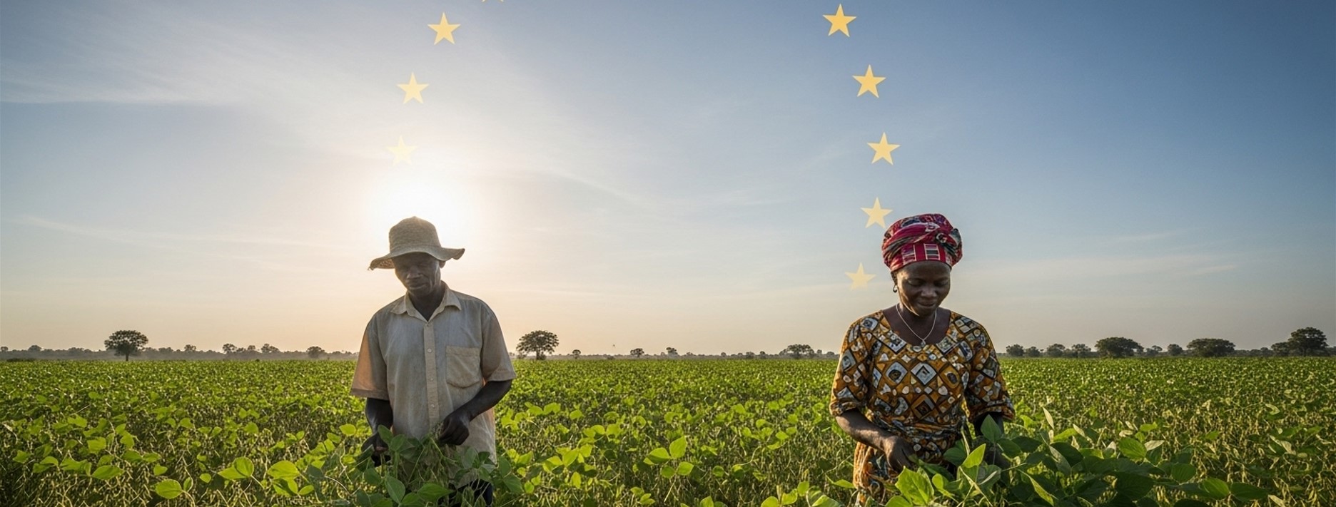 National EUDR Compliance in Benin & Togo