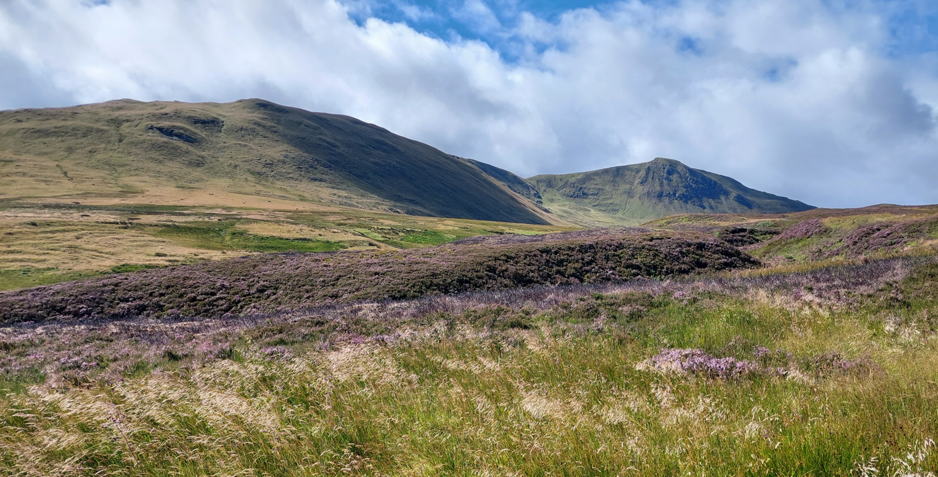 Biodiversity Baseline for a Scottish Estate